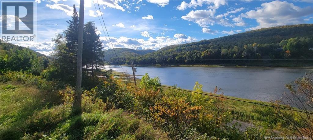 Vacant Lot & Restigouche River Road, Mann Mountain Settlement, New Brunswick  E3N 4X1 - Photo 8 - NB132859