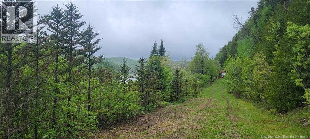 Vacant Lot & Restigouche River Road, Mann Mountain Settlement, New Brunswick  E3N 4X1 - Photo 9 - NB132859