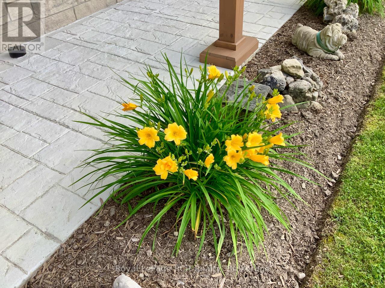 118 Fowlie Road, Northern Bruce Peninsula, Ontario N0H 1W0 - Photo 32 - X12739016