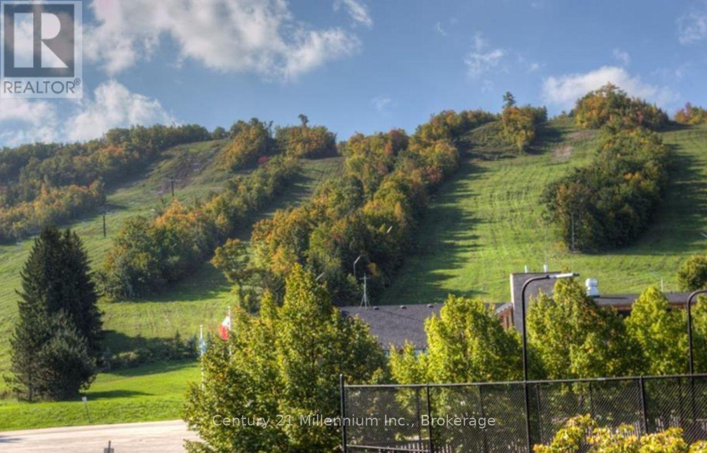 101 - 796468 Grey Road 19 Road, Blue Mountains, Ontario  L9Y 0N6 - Photo 38 - X12739068