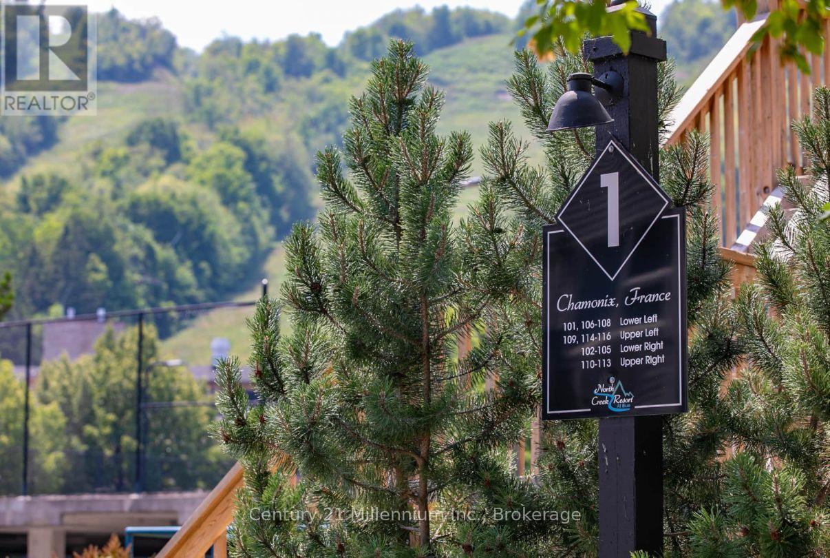 101 - 796468 Grey Road 19 Road, Blue Mountains, Ontario  L9Y 0N6 - Photo 45 - X12739068