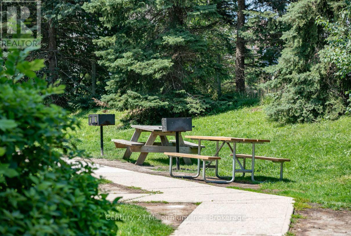 101 - 796468 Grey Road 19 Road, Blue Mountains, Ontario  L9Y 0N6 - Photo 46 - X12739068