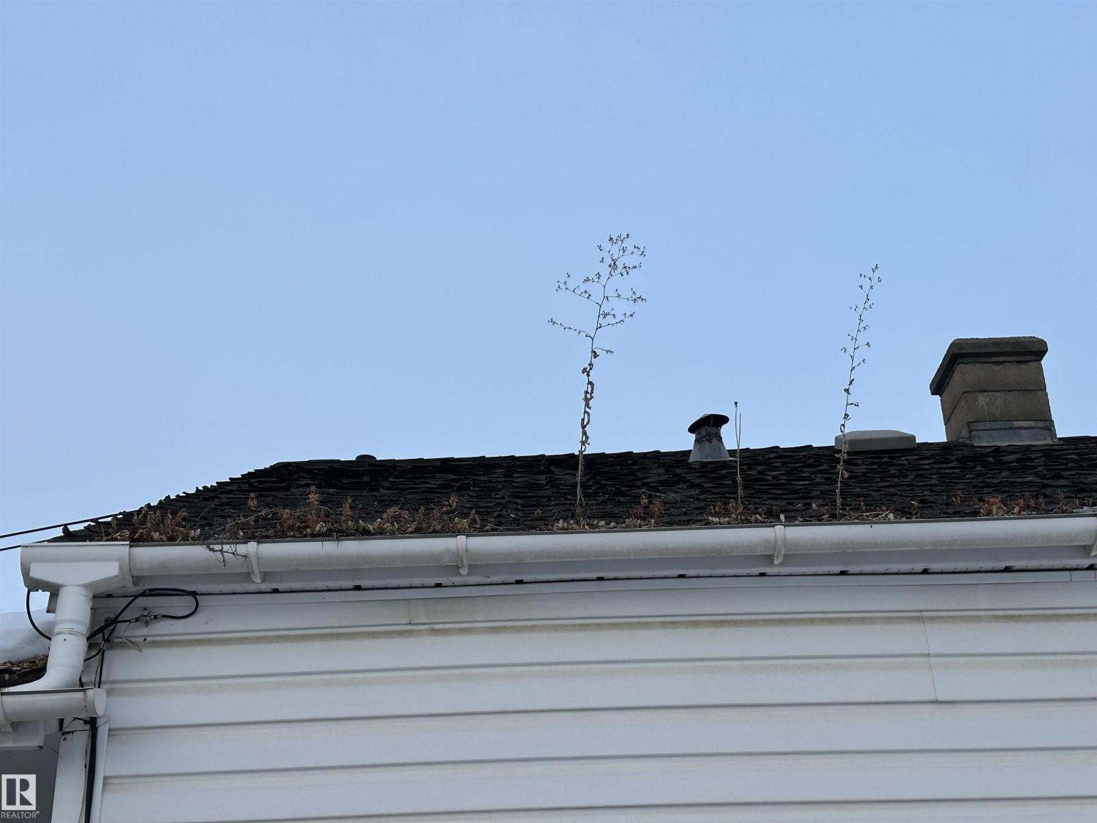 10912 149 St Nw, Edmonton, Alberta  T5P 1M6 - Photo 21 - E4471438