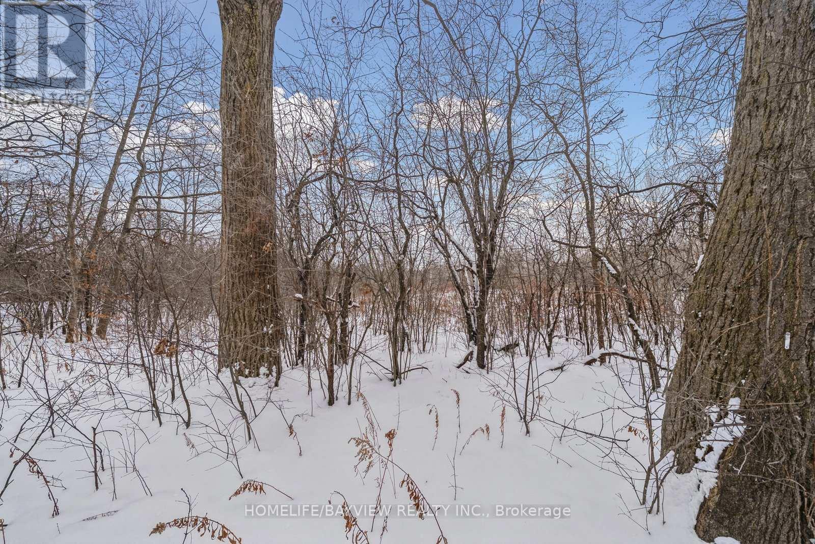 97 Dariole Drive, Richmond Hill, Ontario  L4E 0Z4 - Photo 47 - N12739210