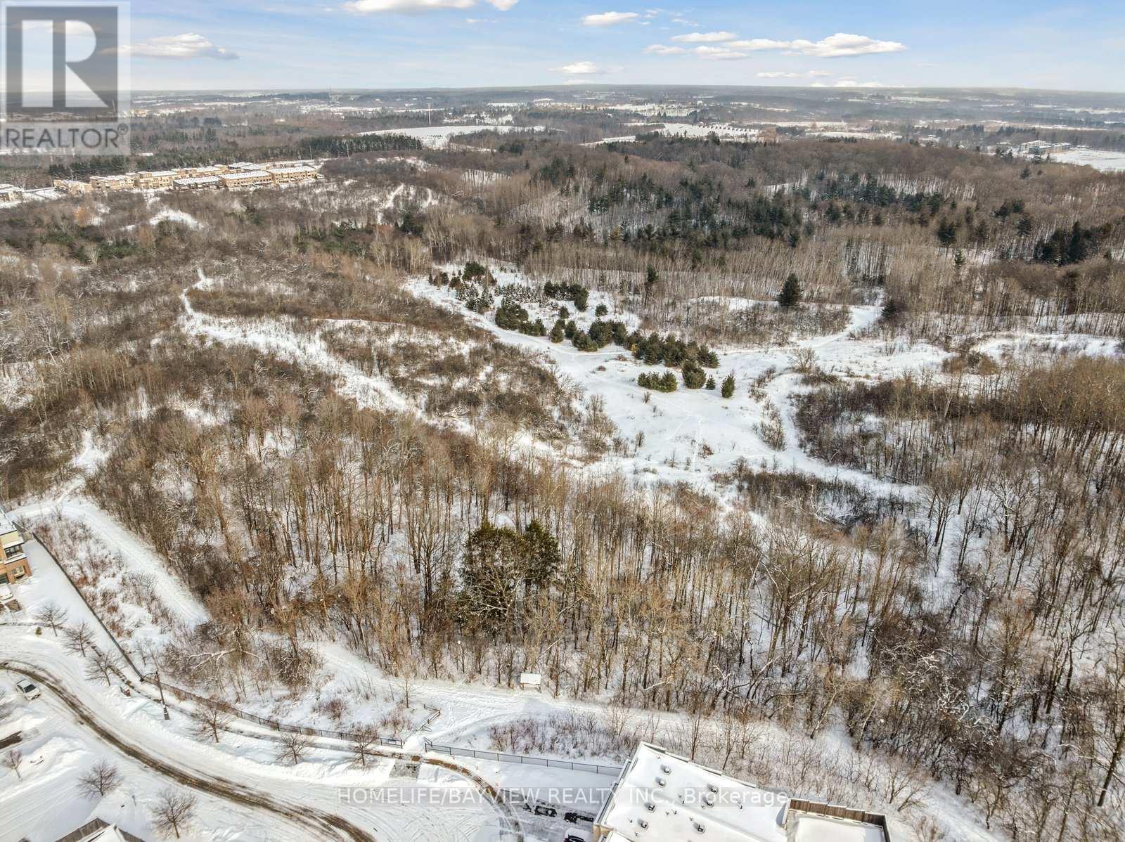 97 Dariole Drive, Richmond Hill, Ontario  L4E 0Z4 - Photo 42 - N12739210