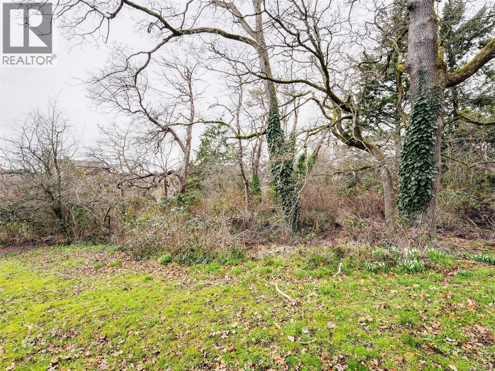 24 Gorge Rd E, Victoria, British Columbia  V9A 1K8 - Photo 21 - 1024379