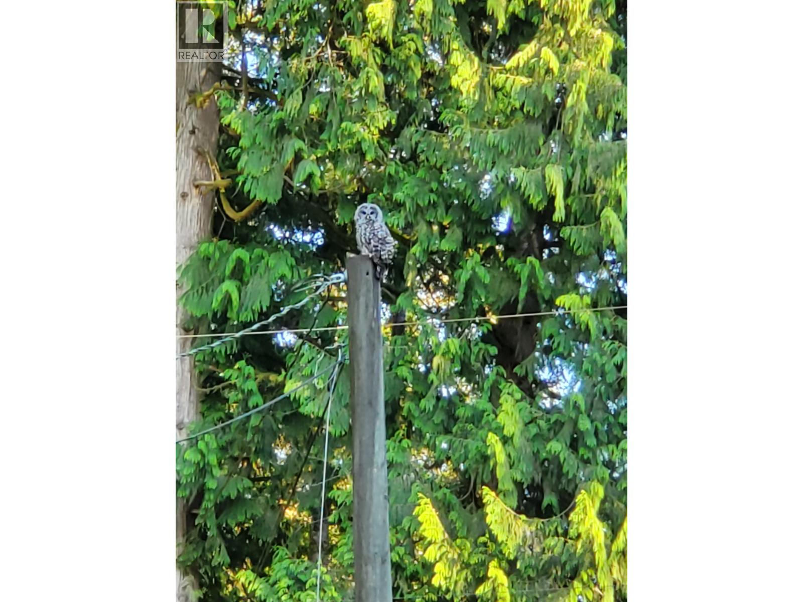 25855 112 Avenue, Maple Ridge, British Columbia  V2W 1H1 - Photo 21 - R3084514