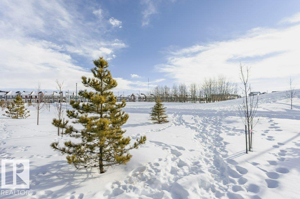 839 34 Av Nw, Edmonton, Alberta  T6T 1A4 - Photo 51 - E4470732