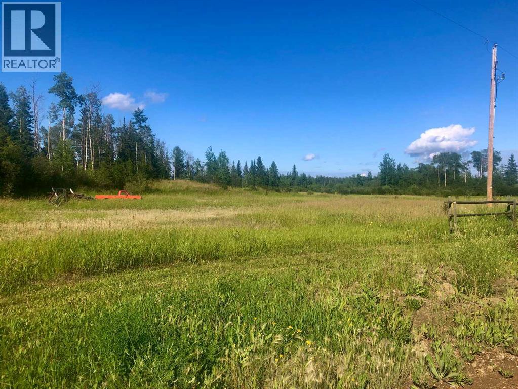 Lot 1 Plan 9724254, High Level, Alberta  T0H 1Z0 - Photo 5 - A2153072