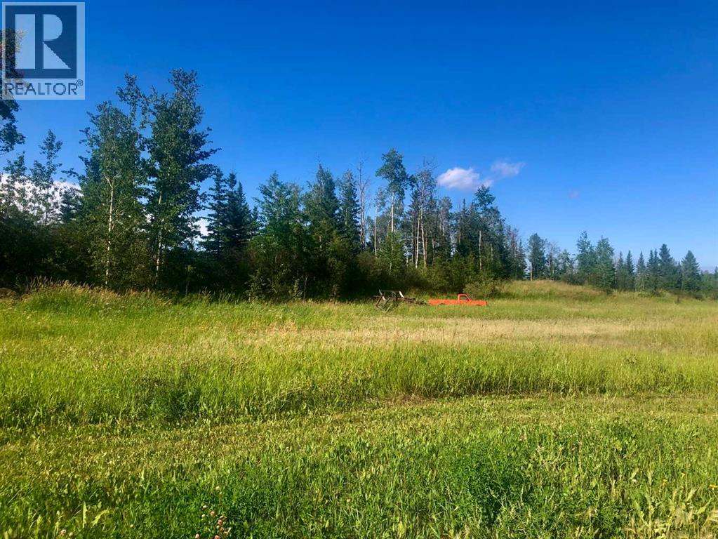 Lot 1 Plan 9724254, High Level, Alberta  T0H 1Z0 - Photo 6 - A2153072