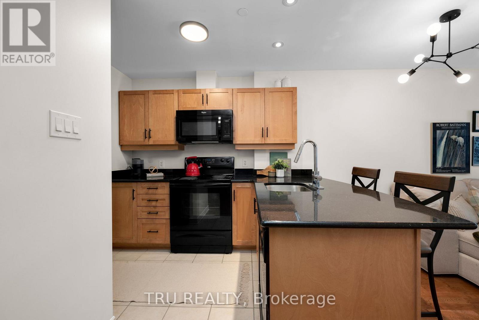 104 - 314 Central Park Drive, Ottawa, Ontario K2C 0R2 - Photo 11 - X12739444