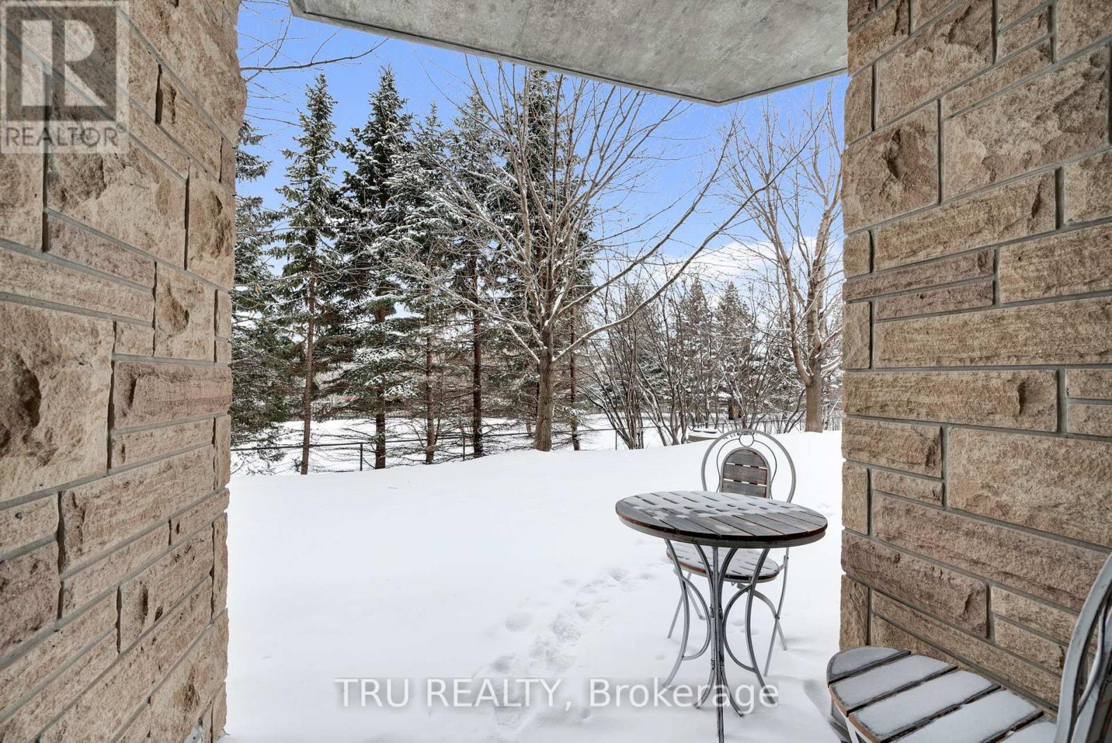 104 - 314 Central Park Drive, Ottawa, Ontario K2C 0R2 - Photo 25 - X12739444