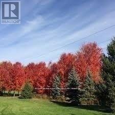 1142 Haig Boulevard, Mississauga, Ontario  L5E 2M7 - Photo 12 - W12739498