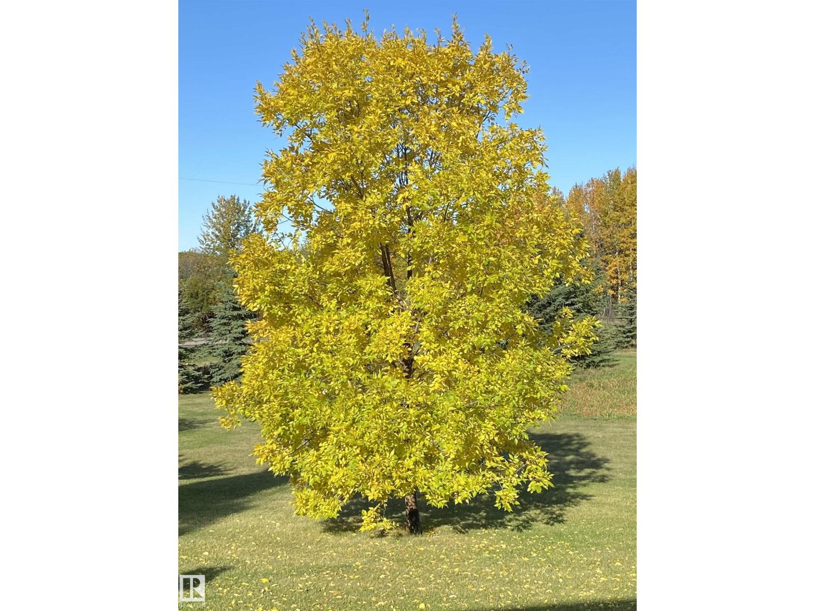 #370 50247 Rge Rd 232, Rural Leduc County, Alberta  T4X 0K9 - Photo 67 - E4471459