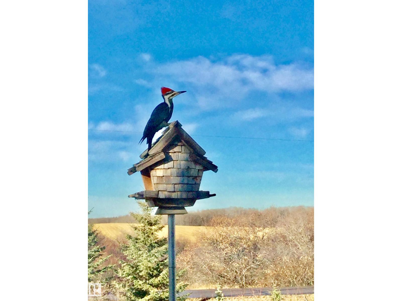 #370 50247 Rge Rd 232, Rural Leduc County, Alberta  T4X 0K9 - Photo 73 - E4471459