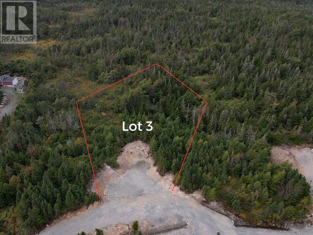 0 Beaver Pond Road Unit#lot 3, Cape Broyle, Newfoundland & Labrador  A0A 1P0 - Photo 1 - 1294106