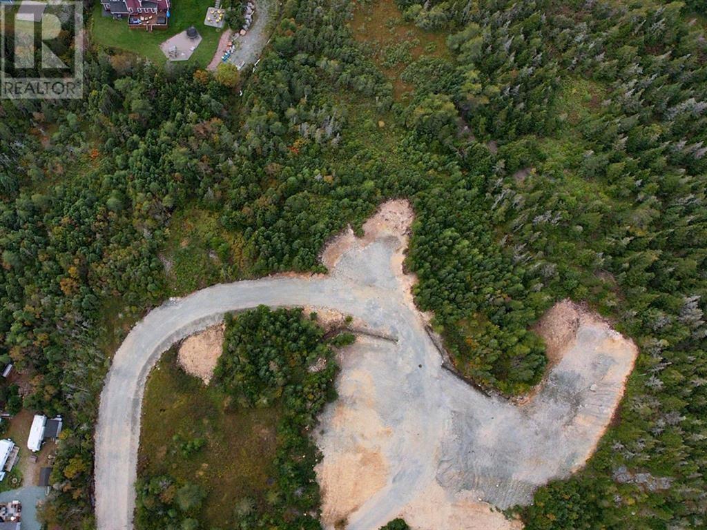 0 Beaver Pond Road Unit#lot 3, Cape Broyle, Newfoundland & Labrador  A0A 1P0 - Photo 4 - 1294106