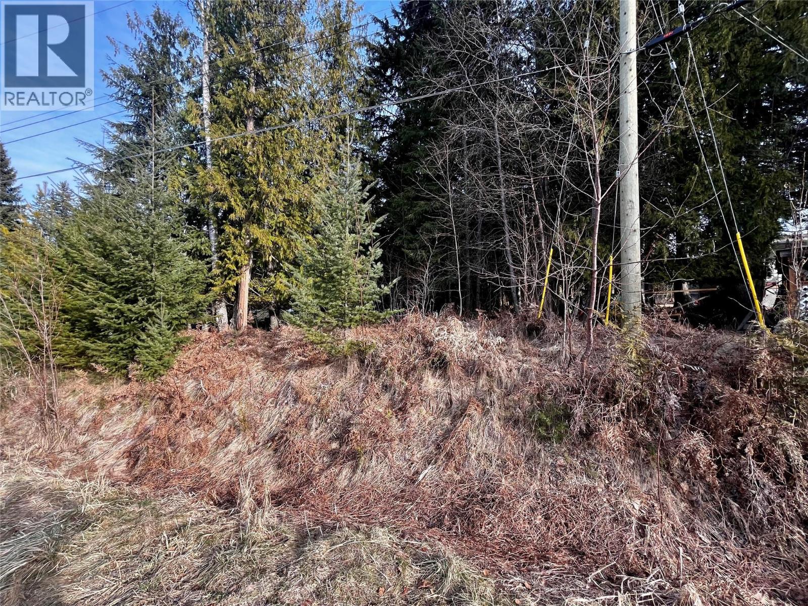 262 Glenacres Road, Nakusp, British Columbia  V0G 1R1 - Photo 6 - 10373761