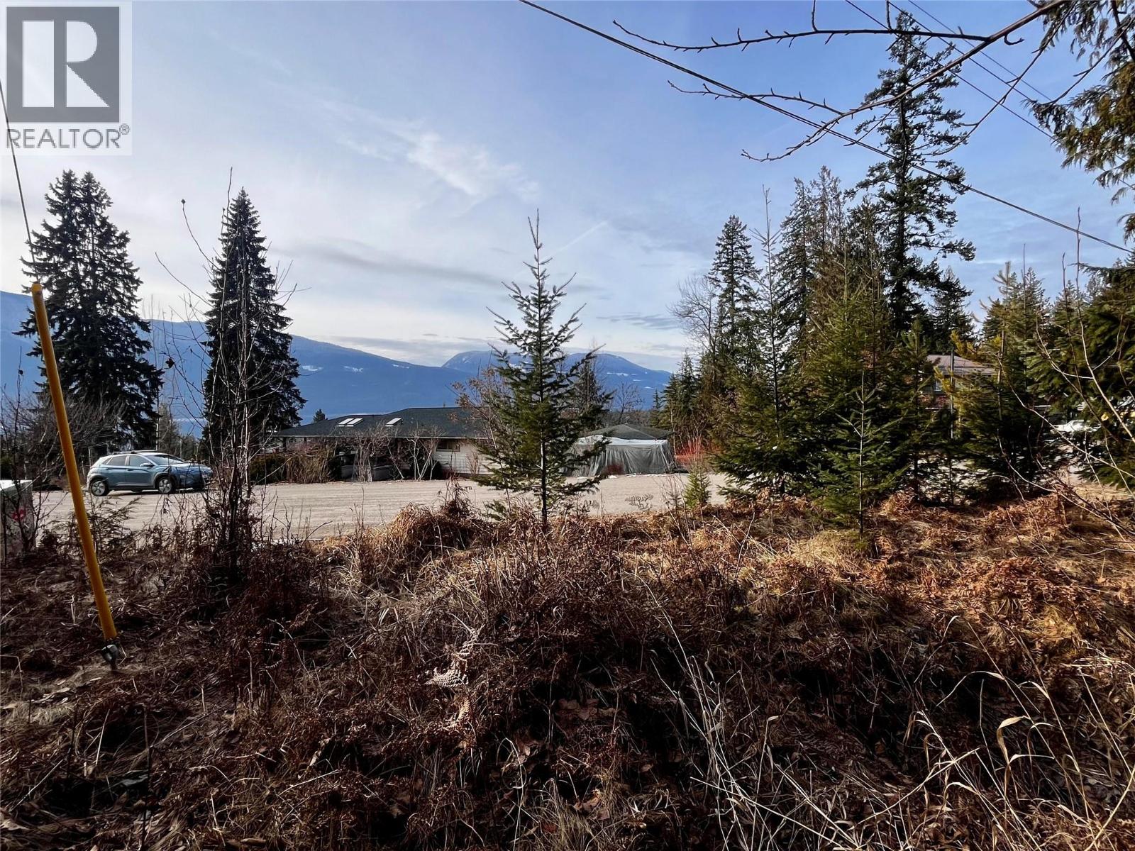 262 Glenacres Road, Nakusp, British Columbia  V0G 1R1 - Photo 8 - 10373761