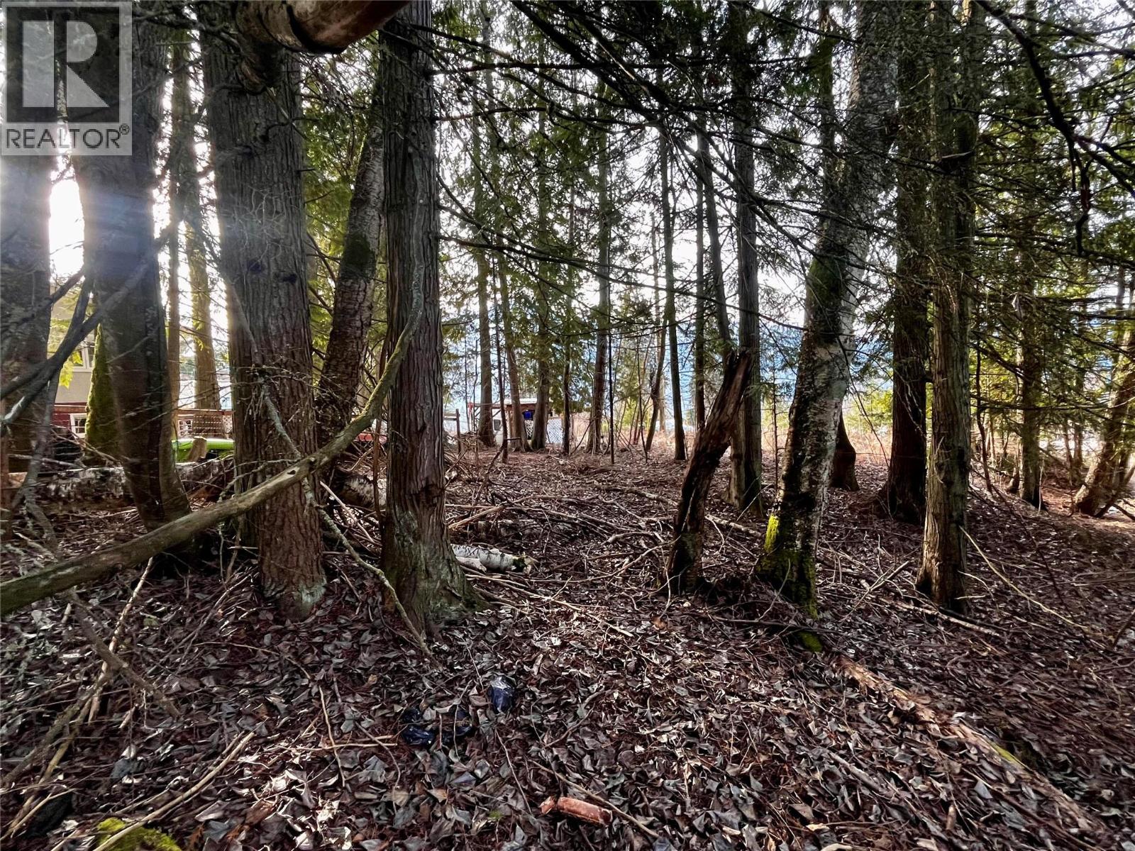 262 Glenacres Road, Nakusp, British Columbia  V0G 1R1 - Photo 11 - 10373761