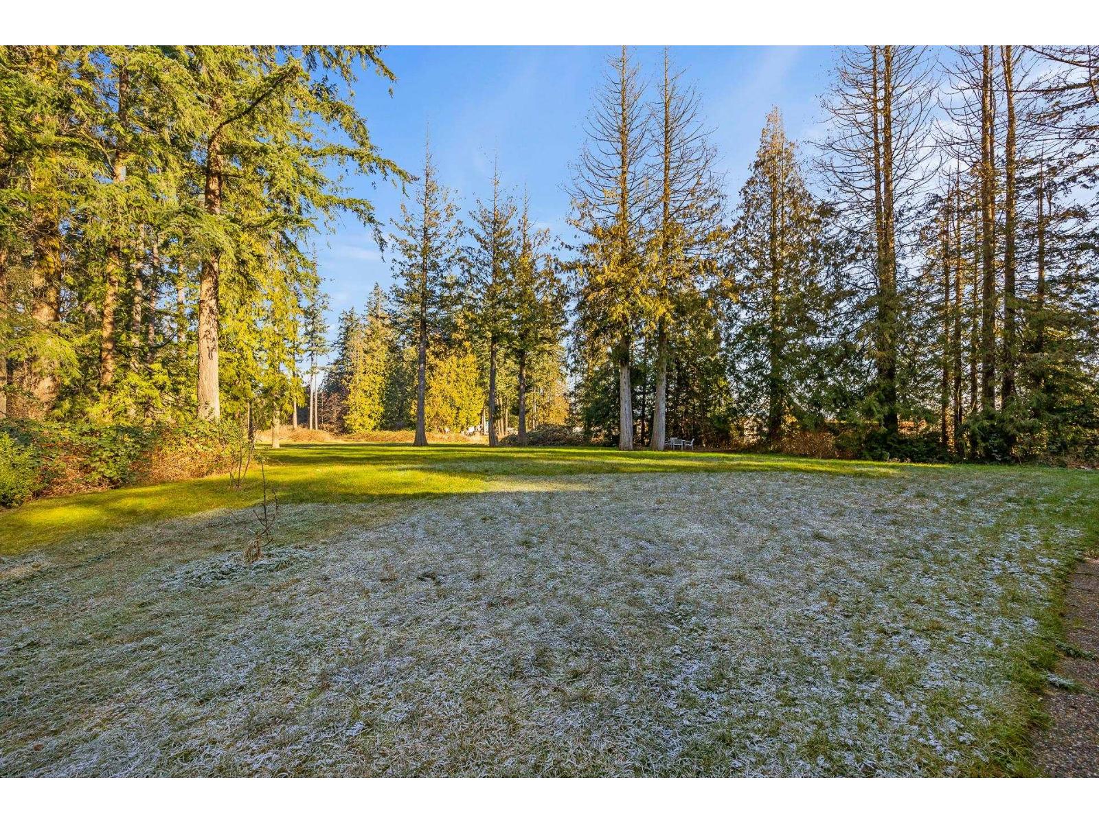 17355 24 Avenue, Surrey, British Columbia  V3Z 0A3 - Photo 9 - C8075638