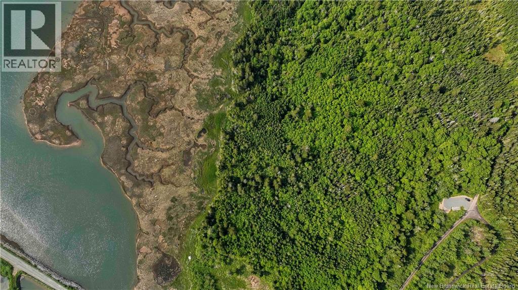 Lot C Old Shore Road, Tynemouth Creek, New Brunswick  E5R 1V8 - Photo 12 - NB132877