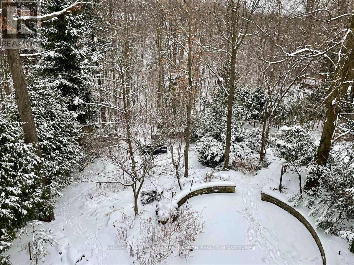 41 Wentworth Avenue, Toronto, Ontario  M2N 1T5 - Photo 28 - C12739574