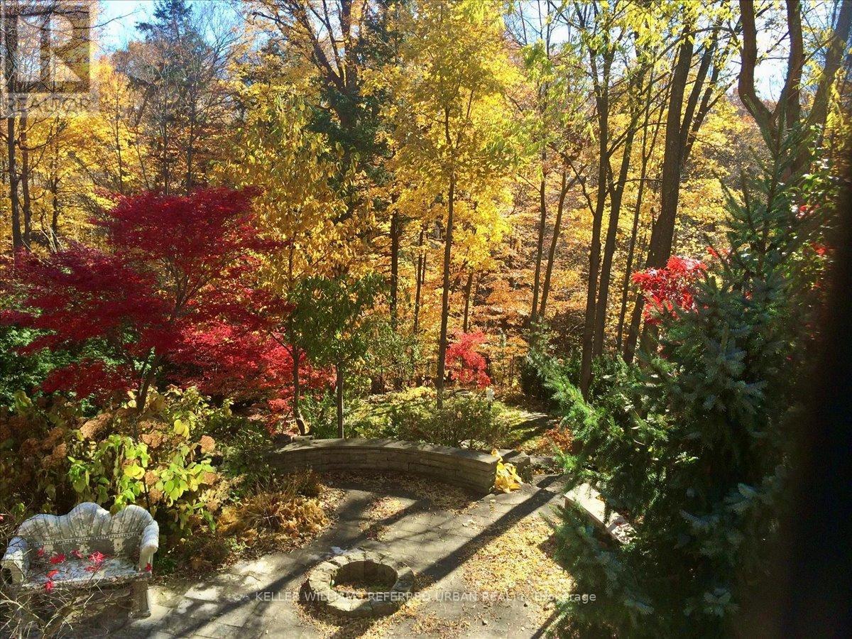 41 Wentworth Avenue, Toronto, Ontario  M2N 1T5 - Photo 5 - C12739574