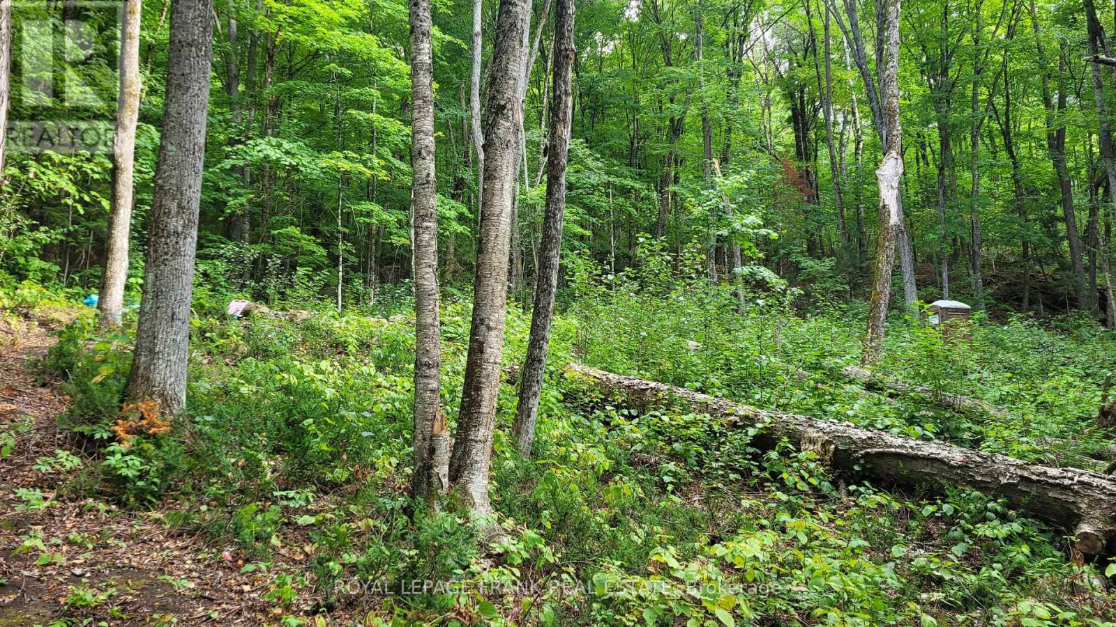 00 Elephant Lake Wao, Dysart Et Al (Harcourt), Ontario  K0L 1M0 - Photo 3 - X12739822