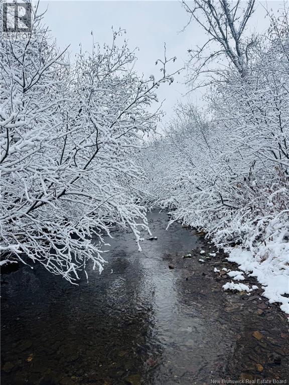 Lot Hodgen Road, Norton, New Brunswick  E5N 4X8 - Photo 5 - NB132861