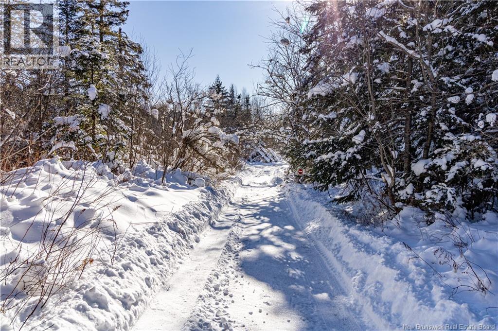 Lot Hodgen Road, Norton, New Brunswick  E5N 4X8 - Photo 8 - NB132861