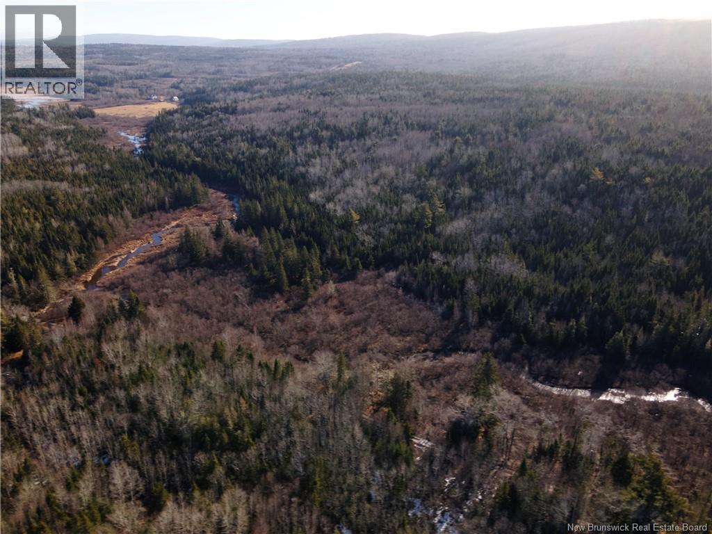 Lot Hodgen Road, Norton, New Brunswick  E5N 4X8 - Photo 19 - NB132861