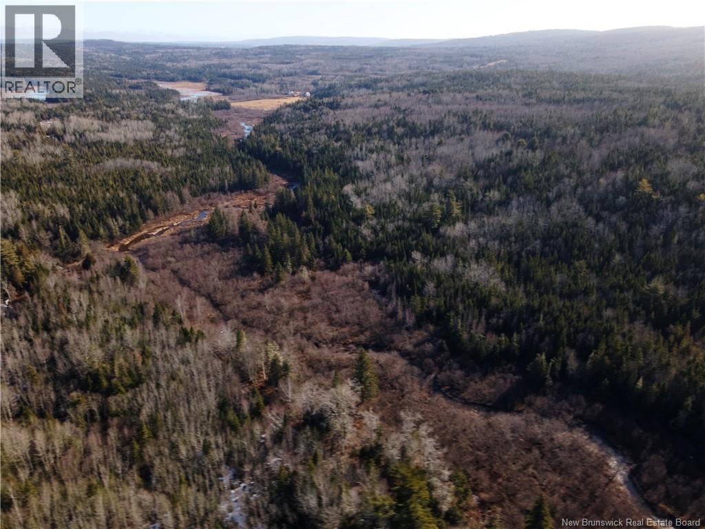 Lot Hodgen Road, Norton, New Brunswick  E5N 4X8 - Photo 17 - NB132861