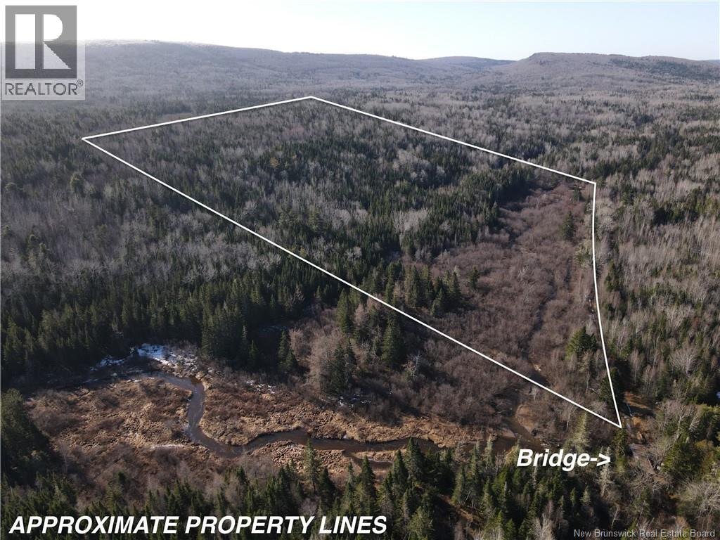 Lot Hodgen Road, Norton, New Brunswick  E5N 4X8 - Photo 1 - NB132861