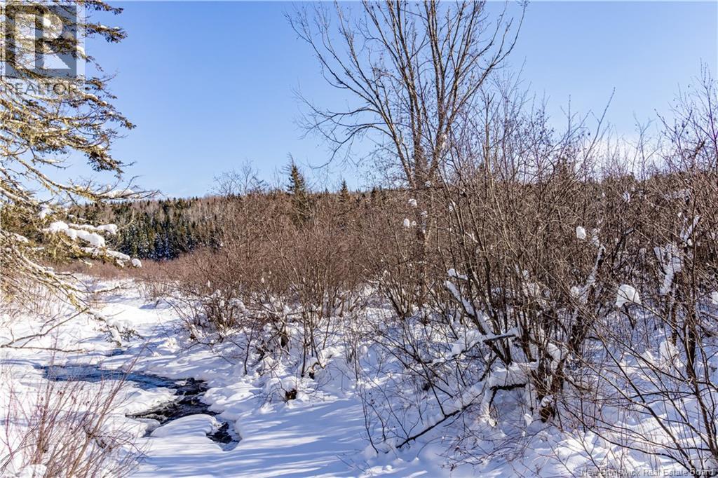Lot Hodgen Road, Norton, New Brunswick  E5N 4X8 - Photo 6 - NB132861