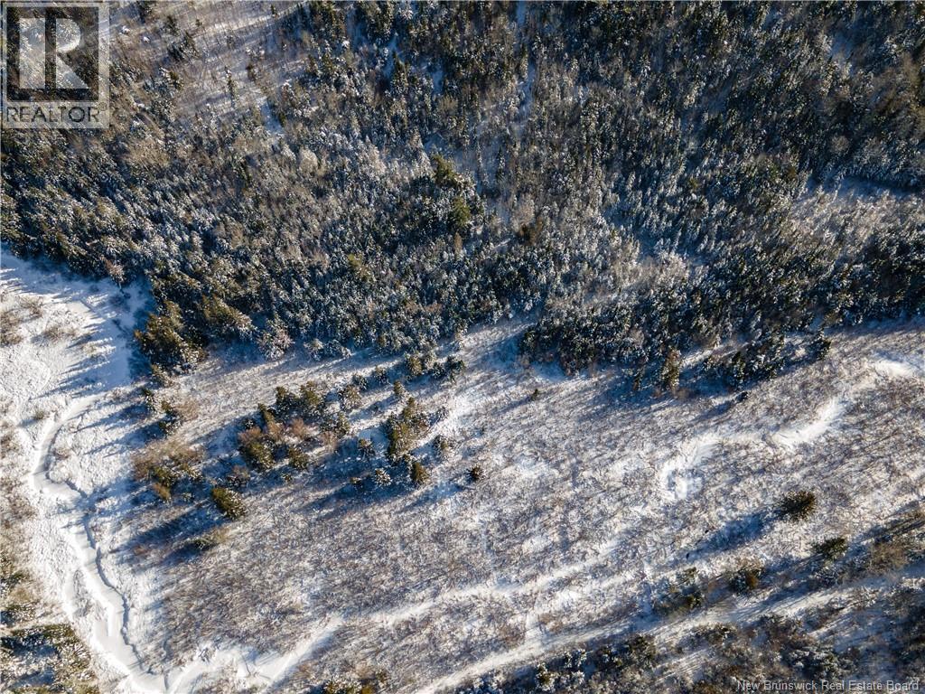 Lot Hodgen Road, Norton, New Brunswick  E5N 4X8 - Photo 9 - NB132861