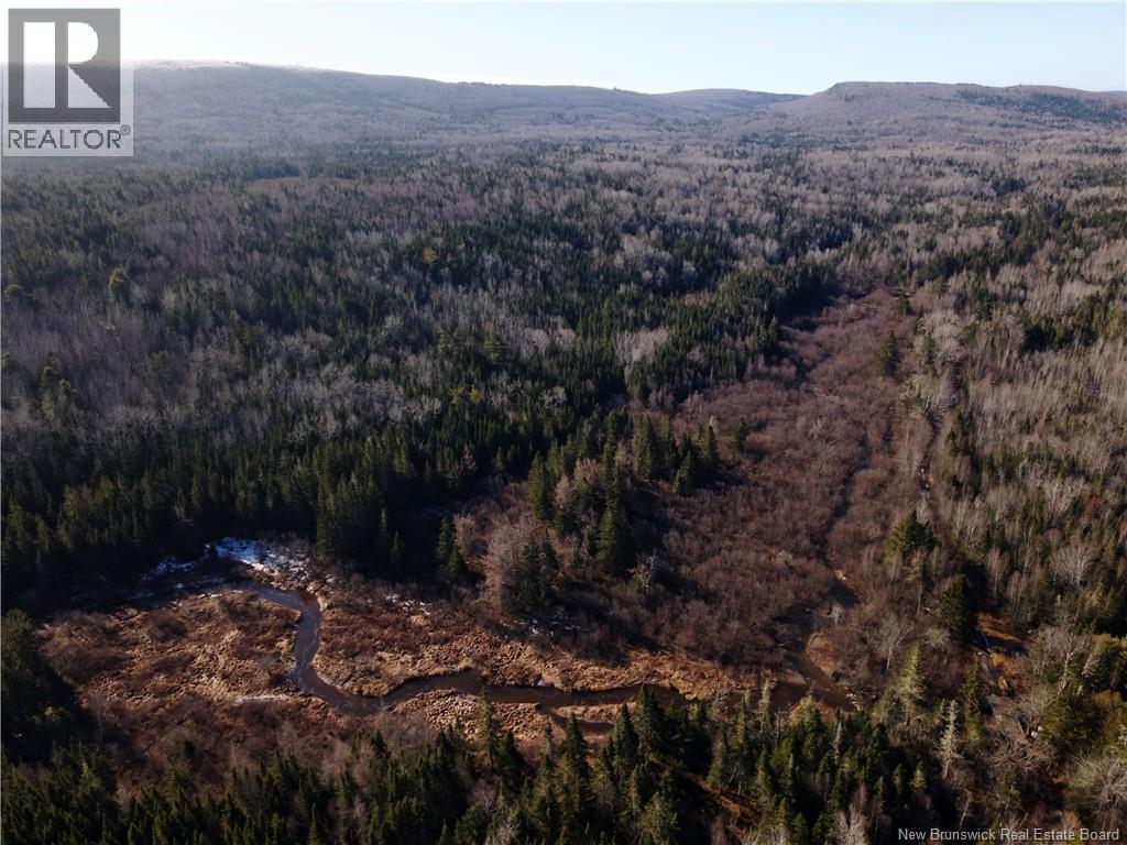 Lot Hodgen Road, Norton, New Brunswick  E5N 4X8 - Photo 14 - NB132864