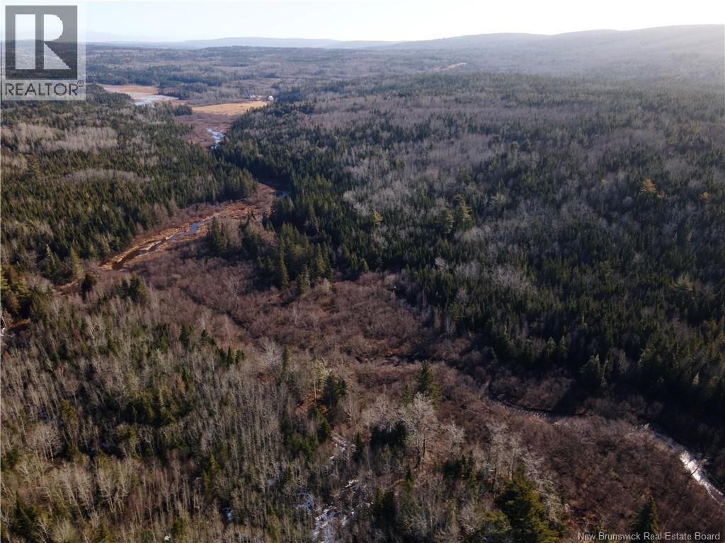 Lot Hodgen Road, Norton, New Brunswick  E5N 4X8 - Photo 18 - NB132864