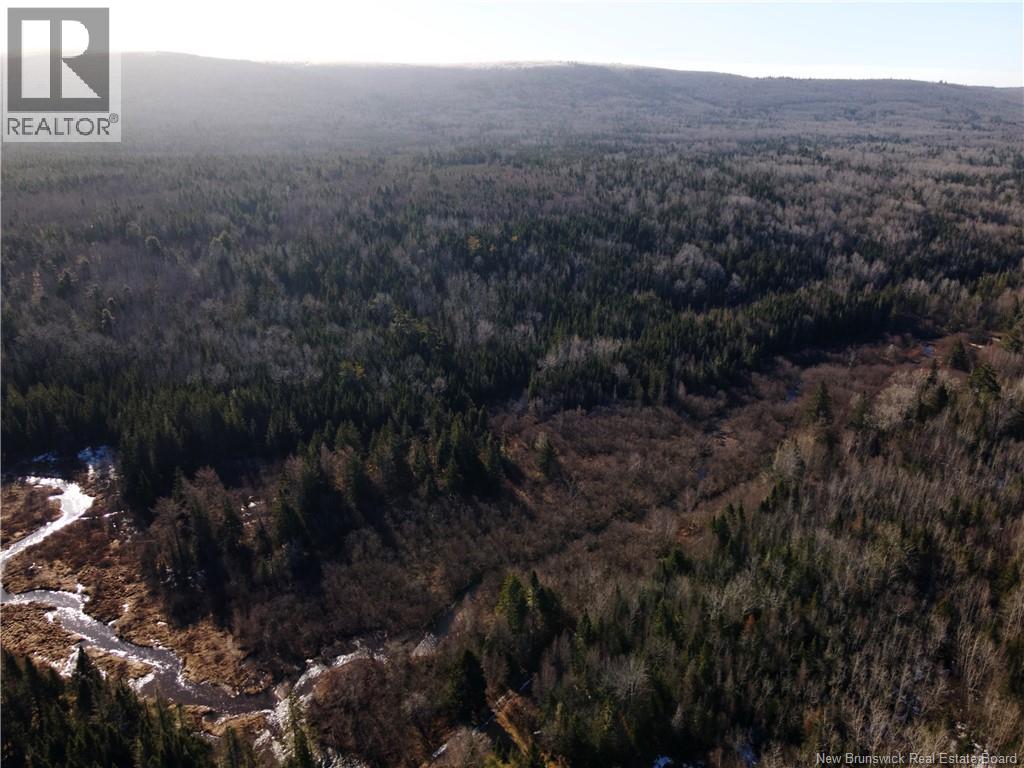 Lot Hodgen Road, Norton, New Brunswick  E5N 4X8 - Photo 21 - NB132864