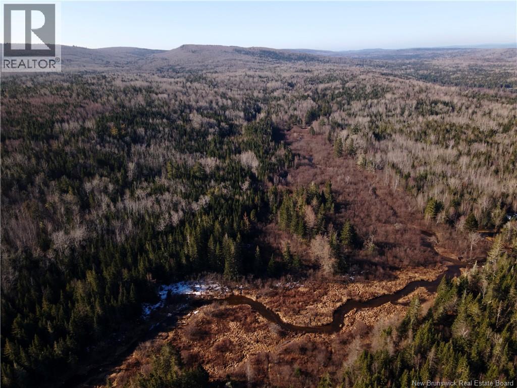 Lot Hodgen Road, Norton, New Brunswick  E5N 4X8 - Photo 13 - NB132864