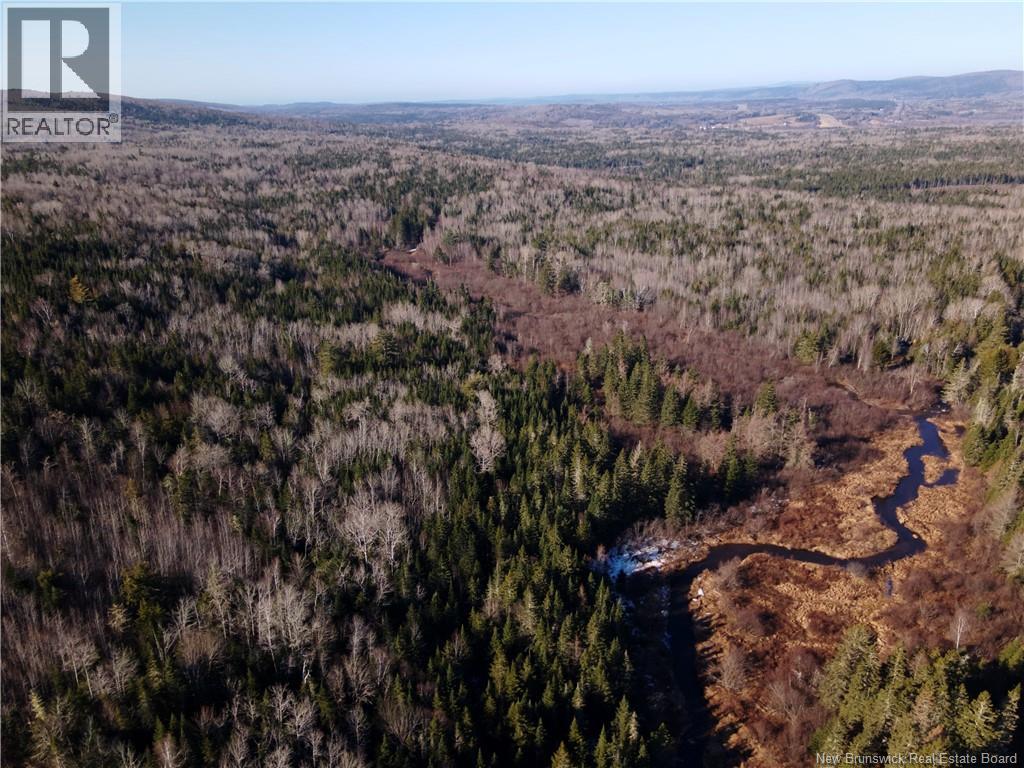 Lot Hodgen Road, Norton, New Brunswick  E5N 4X8 - Photo 12 - NB132864