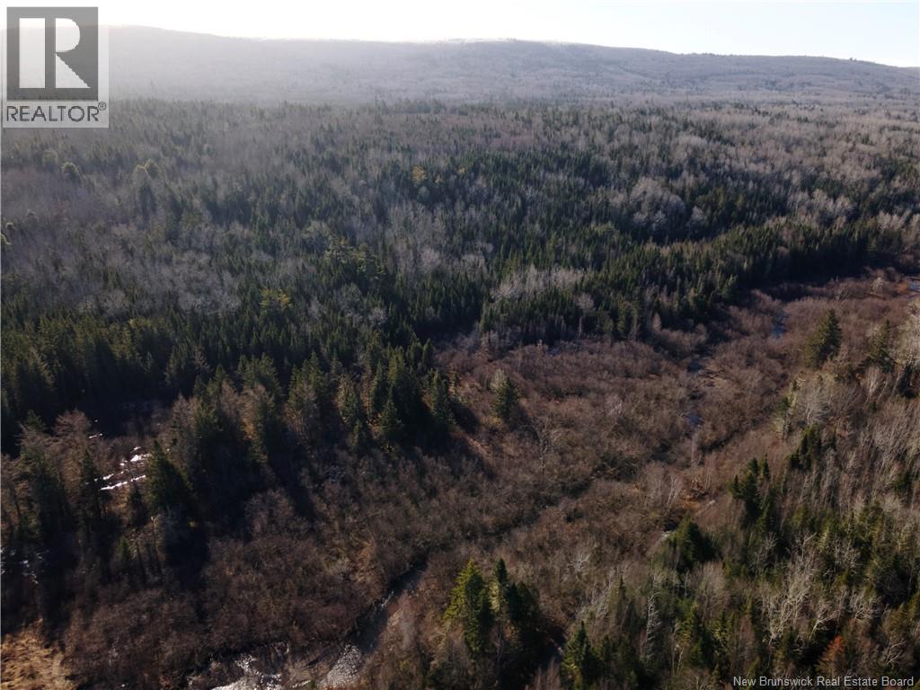 Lot Hodgen Road, Norton, New Brunswick  E5N 4X8 - Photo 22 - NB132864