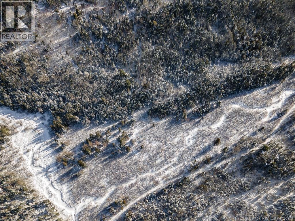 Lot Hodgen Road, Norton, New Brunswick  E5N 4X8 - Photo 10 - NB132864