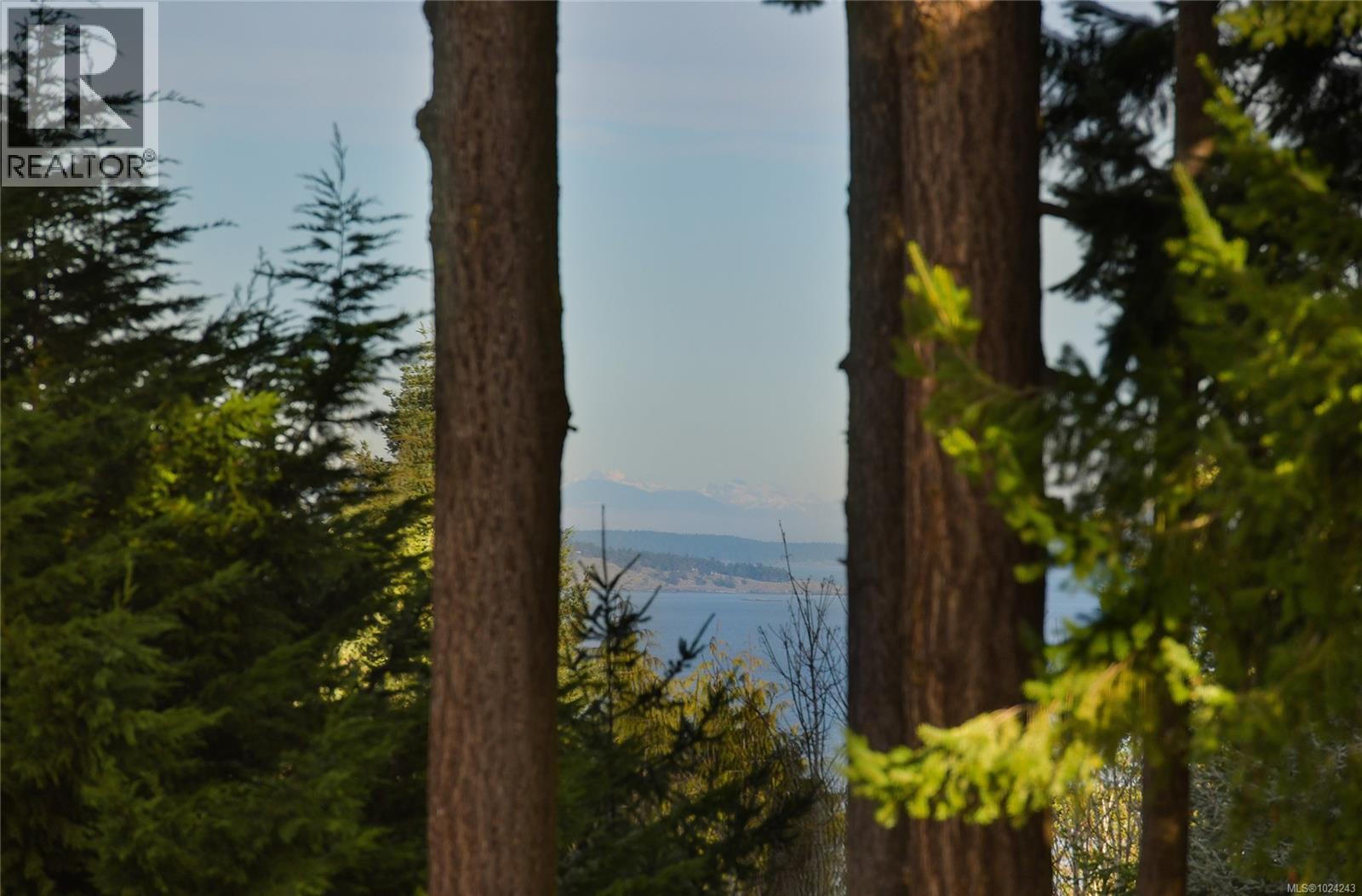 4911 Sea Ridge Dr, Saanich, British Columbia  V8Y 2B5 - Photo 88 - 1024243