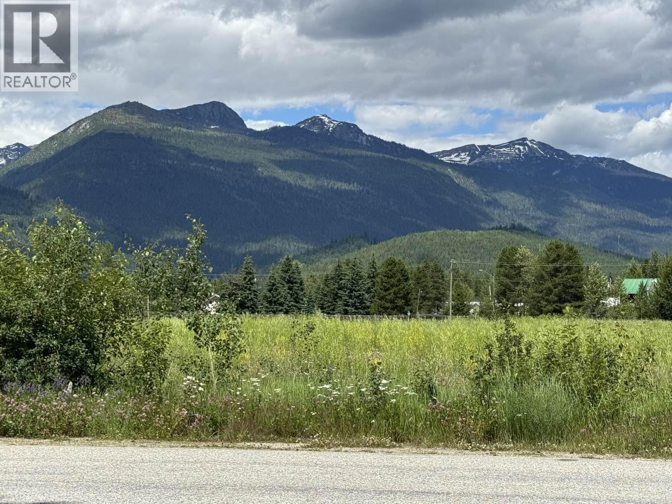 5922 Stewart Street, Blue River, British Columbia  V0J 1J0 - Photo 23 - 10374146