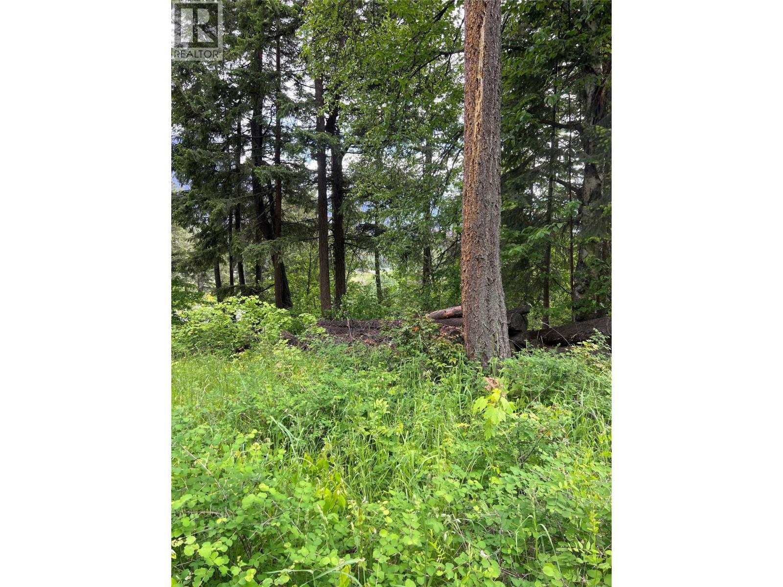 2481 Squilax Anglemont Road Lot# 23, Lee Creek, British Columbia  V0E 1M0 - Photo 25 - 10374239