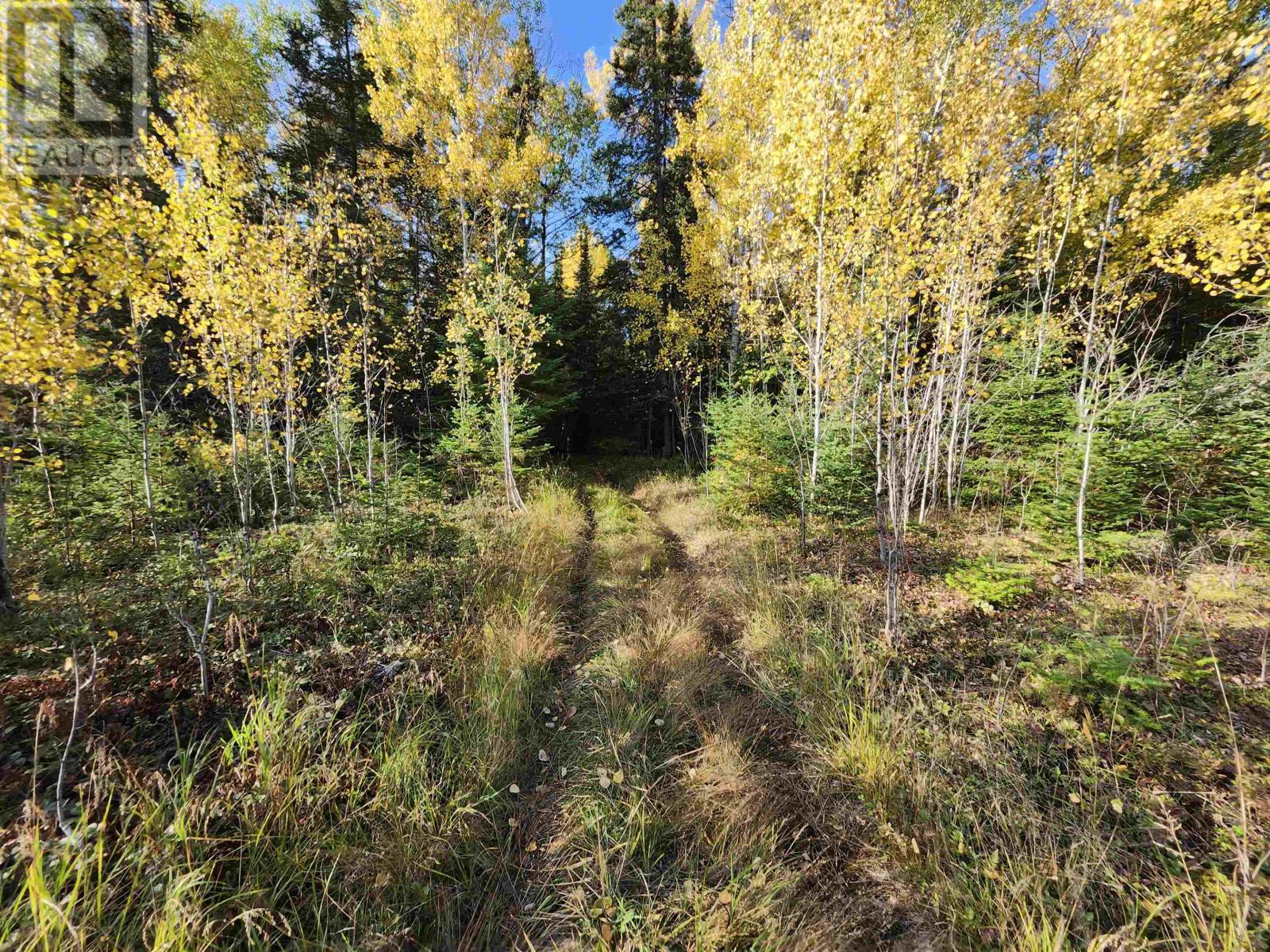 18 Johnson Road, Kenora, Ontario  P9N 0A6 - Photo 24 - TB253105