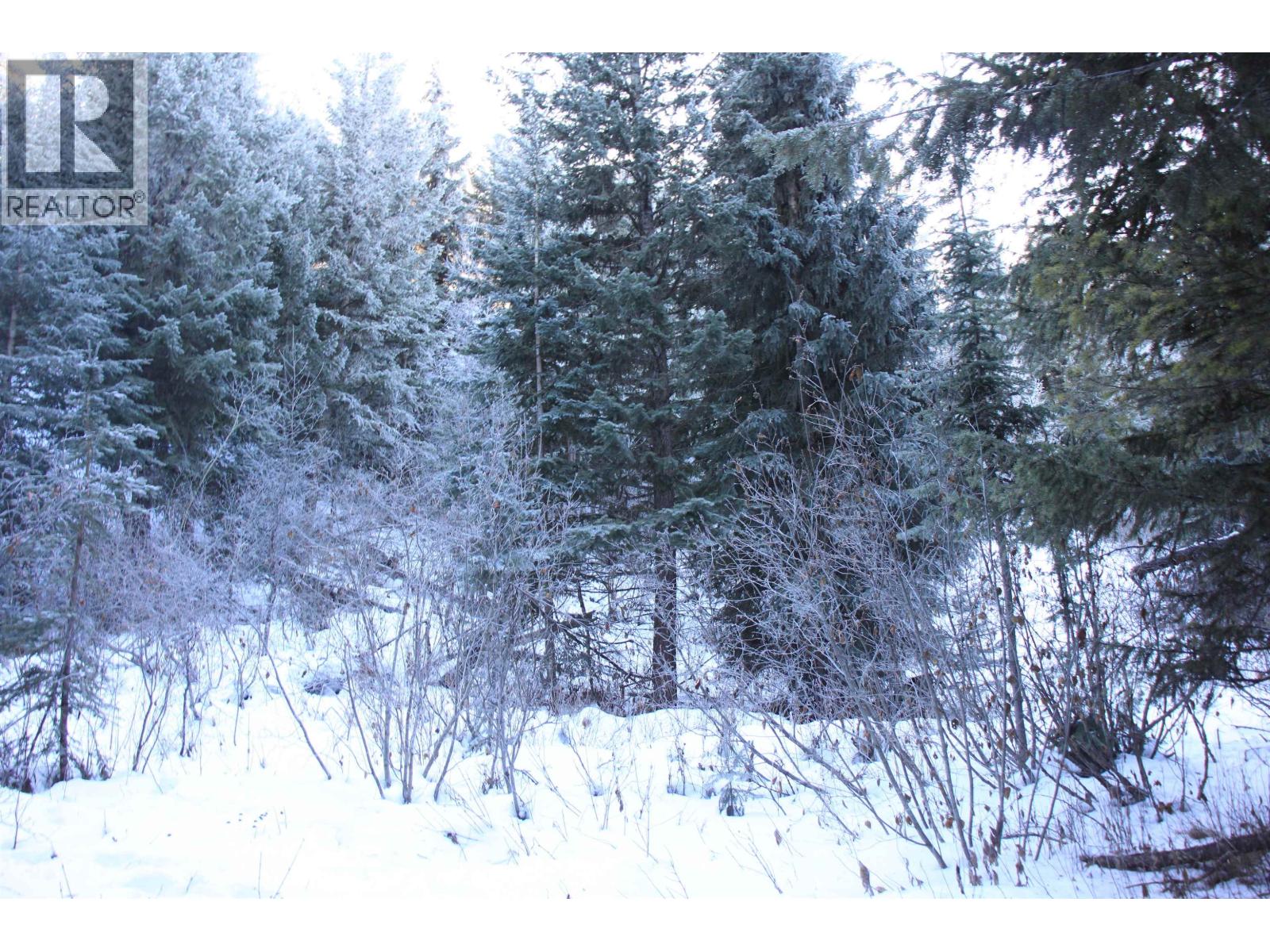 Prop Lot 30 Brown Road, Bridge Lake, British Columbia  V0K 1X2 - Photo 8 - R3084302