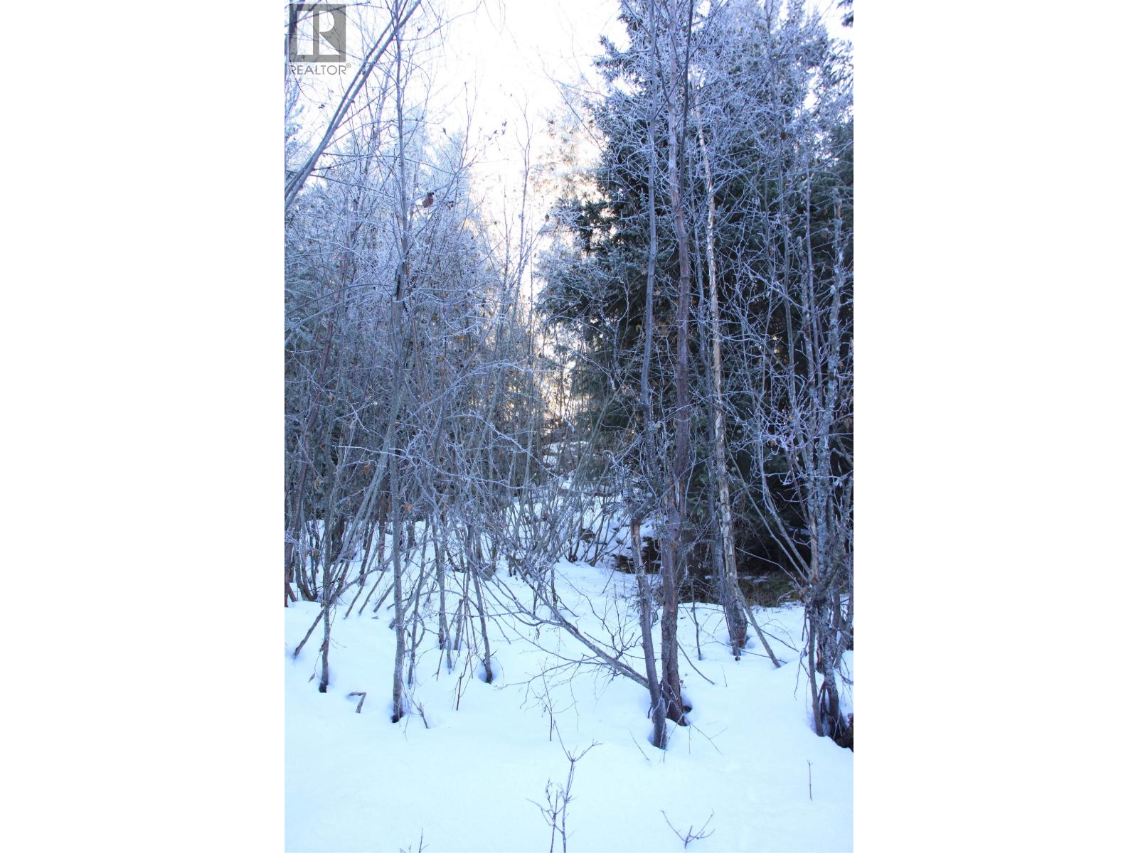 Prop Lot 30 Brown Road, Bridge Lake, British Columbia  V0K 1X2 - Photo 17 - R3084302