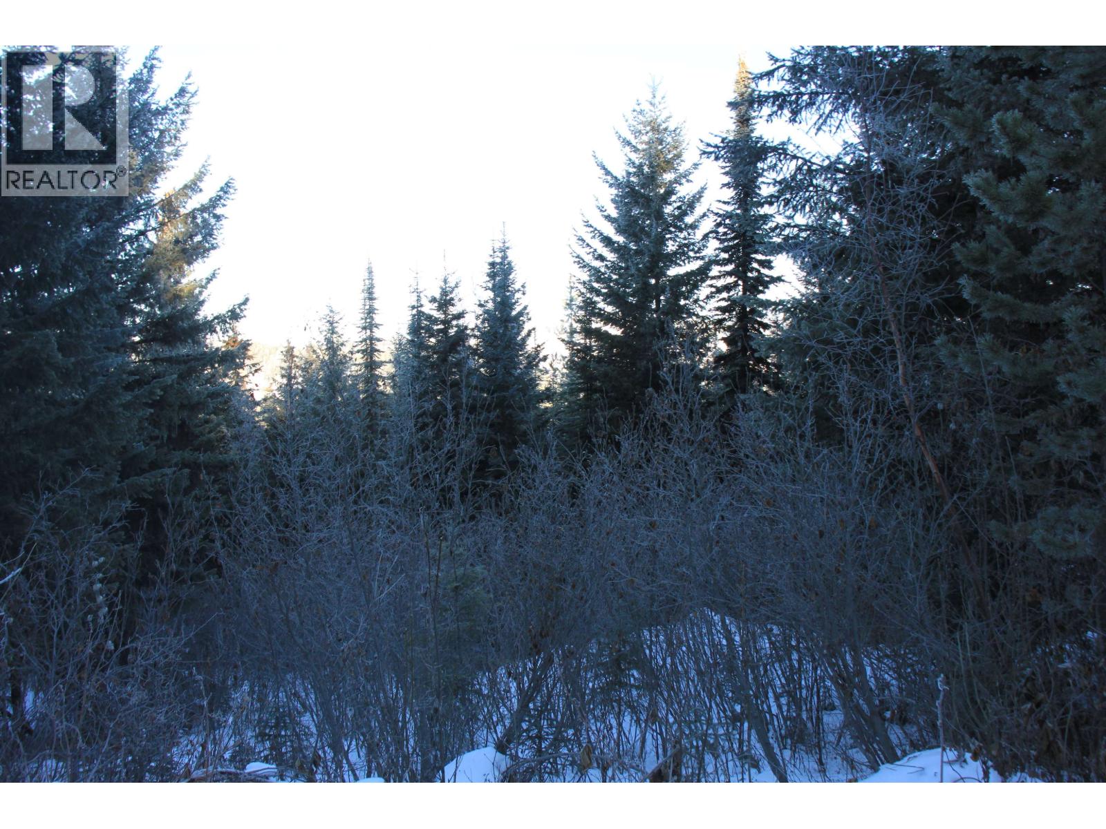 Prop Lot 30 Brown Road, Bridge Lake, British Columbia  V0K 1X2 - Photo 14 - R3084302